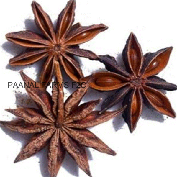 ANACHI POO (STAR ANISE) 10 GM