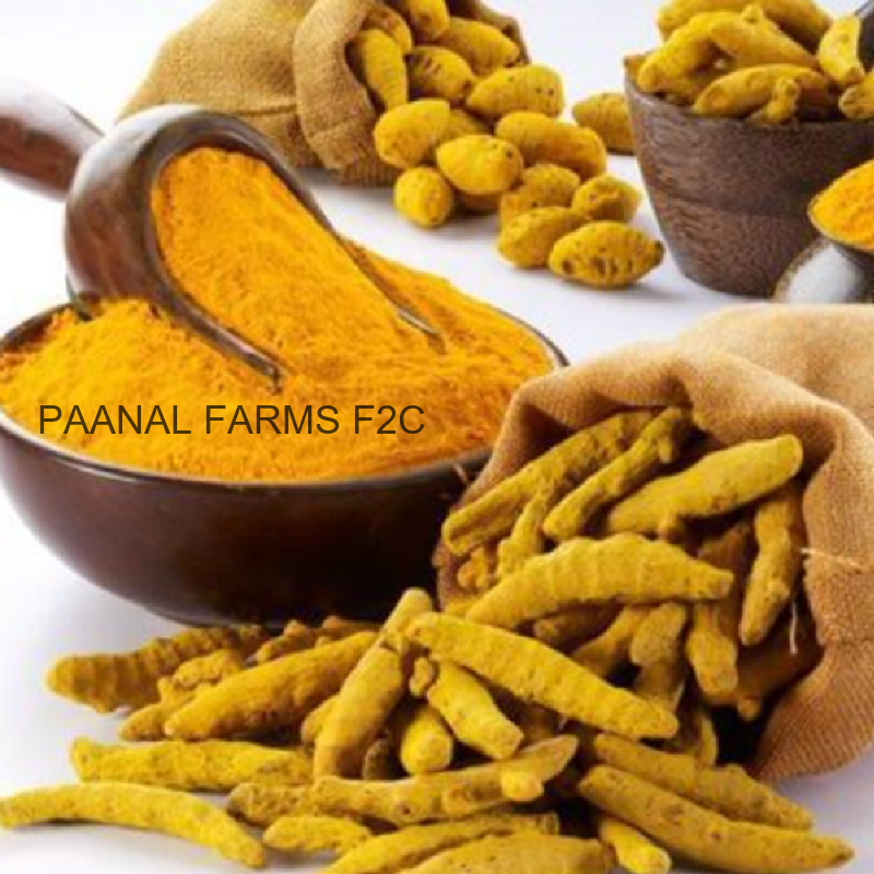 AVVAI KASTHURI MANJAL (100 GM)