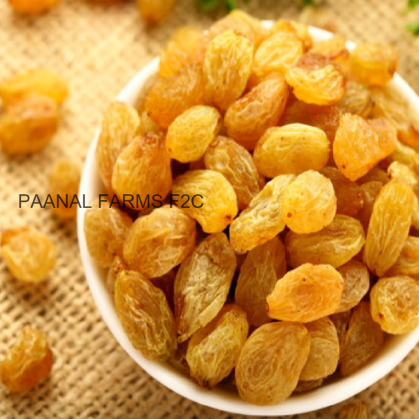 BLACK KAINTHA THIRATCHAI 50 G ( DRY GRAPES)