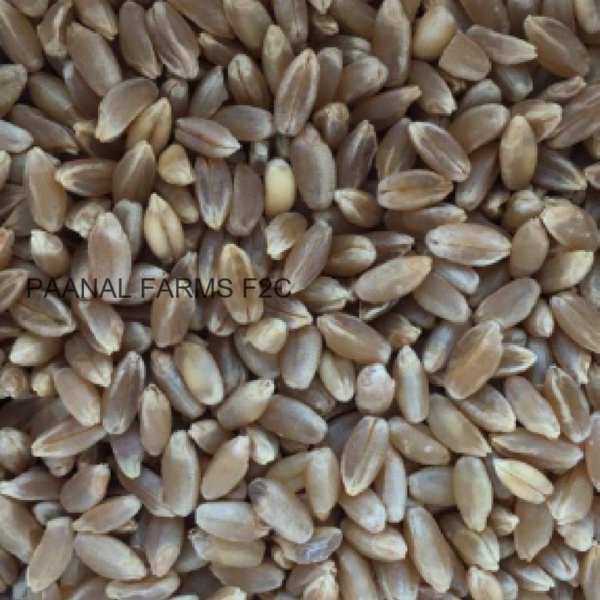 BLACK WHEAT 1 KG
