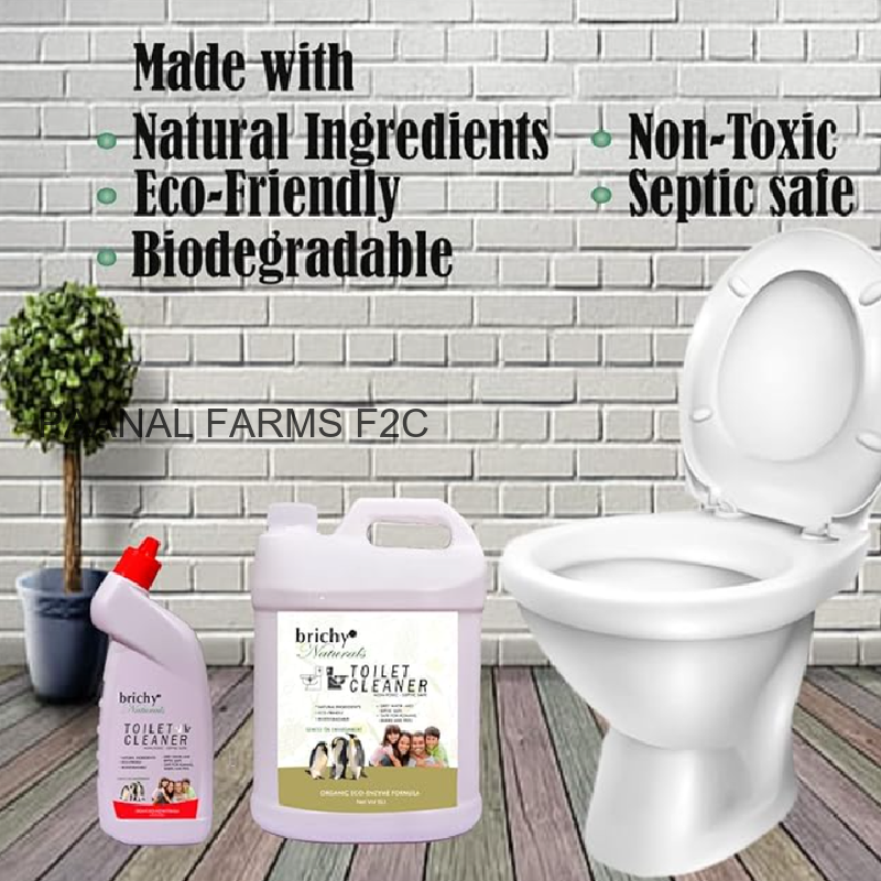 BRICHY TOILET CLEANER 650 ML