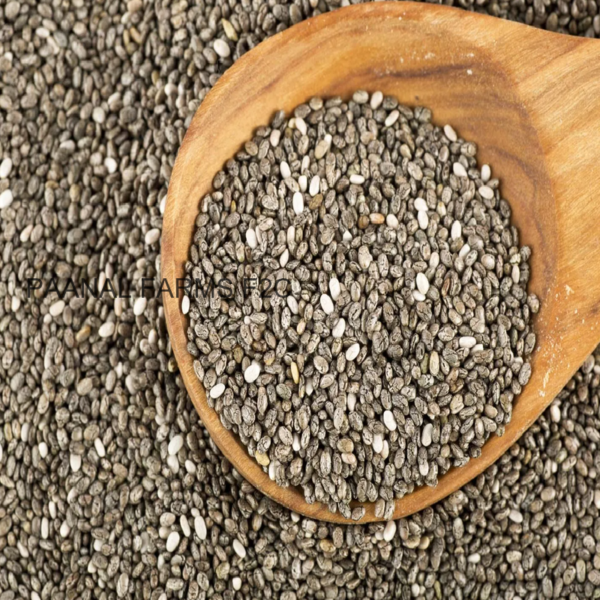 CHIA SEEDS 100 GM