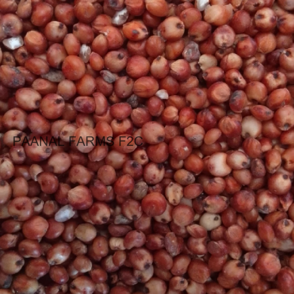 CHIGAPU SOLAM  (RED JOWAR) - 250 GM