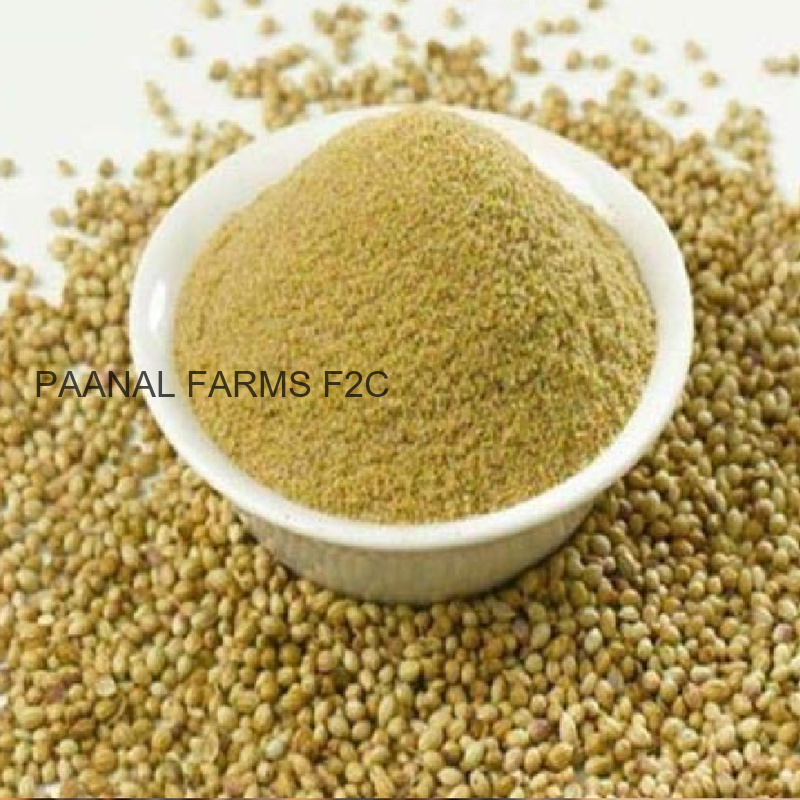 DHANIYA  POWDER 100 G