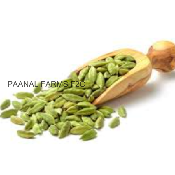 ELAKAI 10G ( ELACHI) 8 MM SIZE
