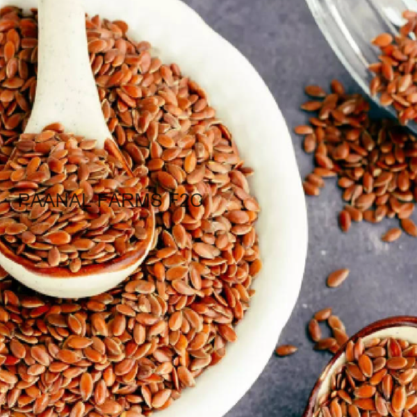 FLAX SEEDS 100 GM