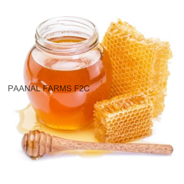 HILL HONEY  WILD 250 GM