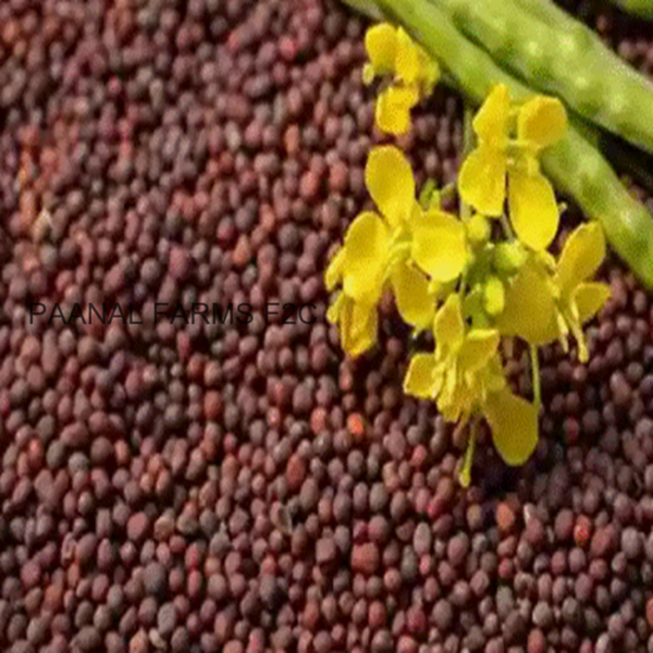 KADUKU 100G