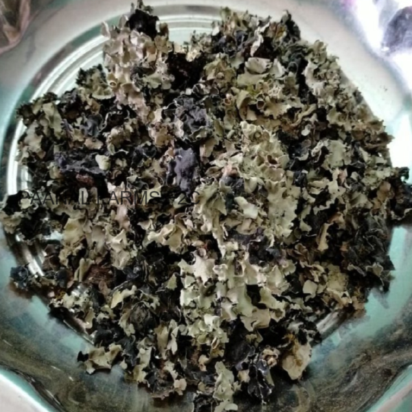KALPASI 10 GM