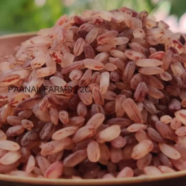 RED RICE KERALA MATTA - 1 KG