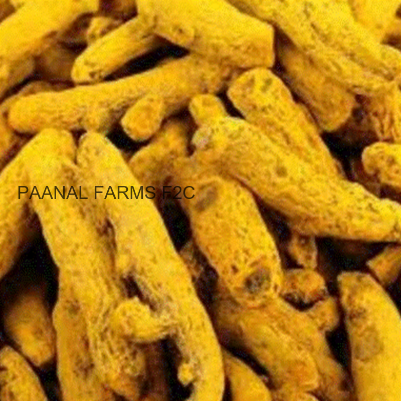 TURMERIC STICK 50G ( KUCHI MANJAL )