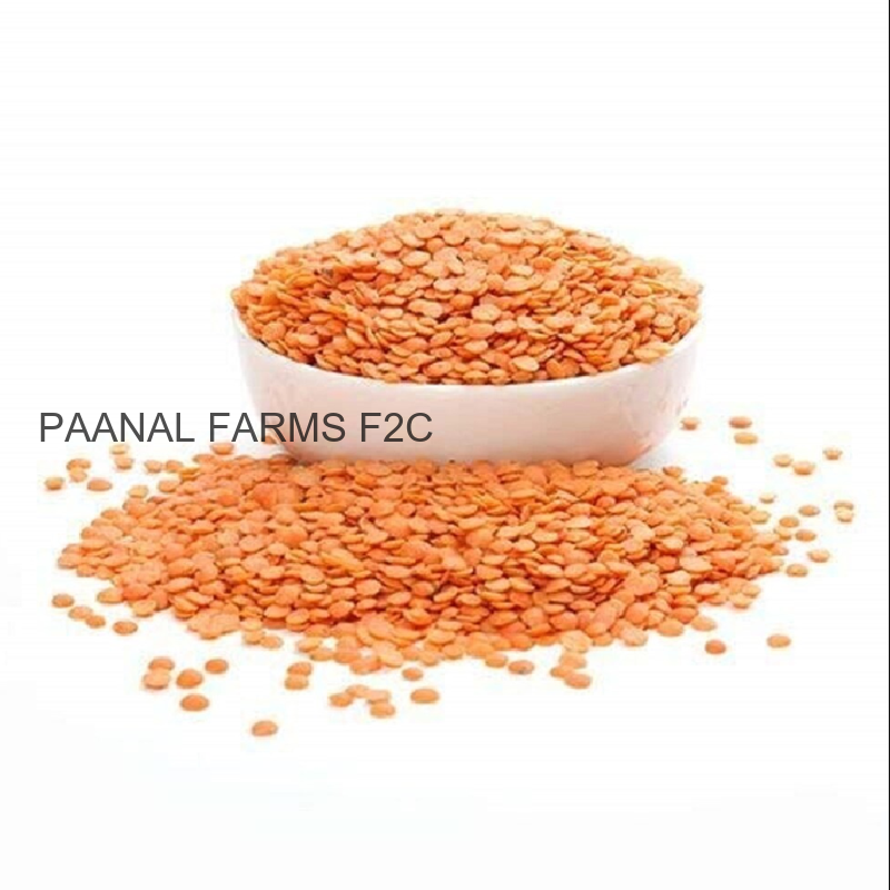 MASOOR DAL 250 GM