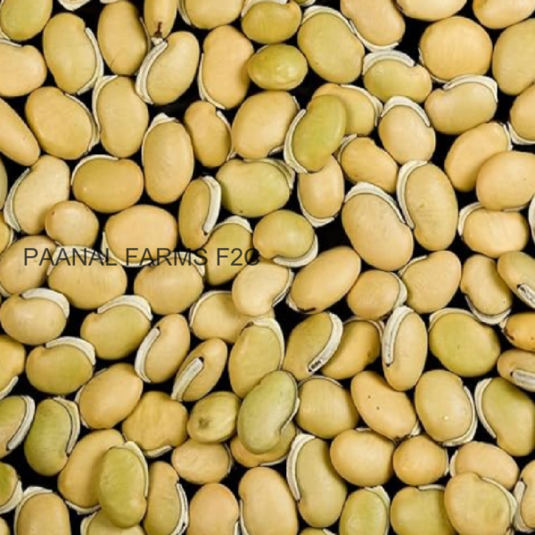 MOCHAI KOTTAI 250 GM ( FIELD BEANS)