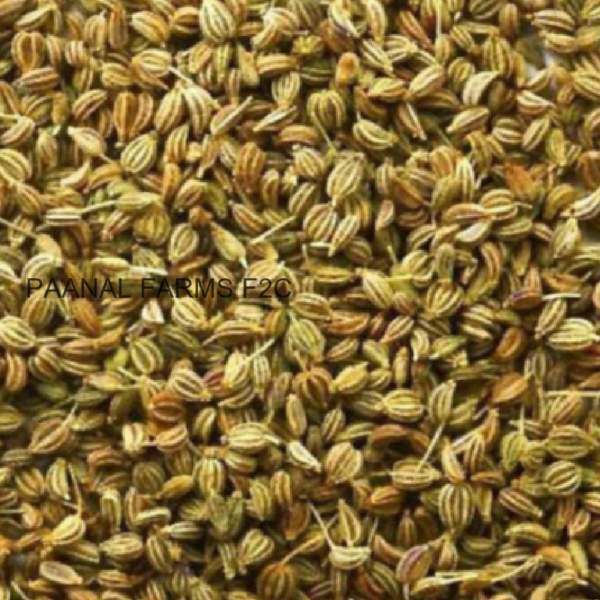 OMAM (AJWAIN) 25G