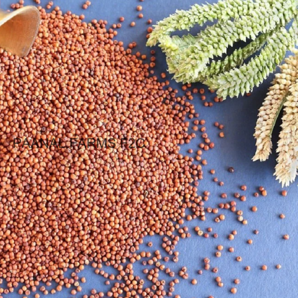 RAGI  ( FINGER MILLET ) - 250 GM