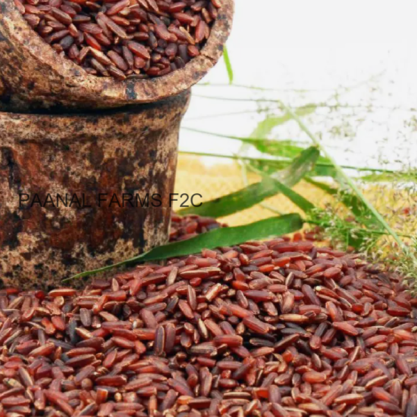 RED RICE KATTUYANAM 500 GM
