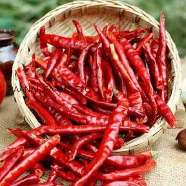 RED CHILLI 250 G ( NETU KAINTHA MILAGAI )
