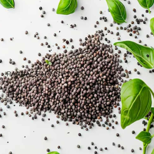 SABJA SEED 50GM