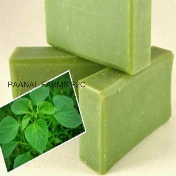 SOAP KUPPAMENI