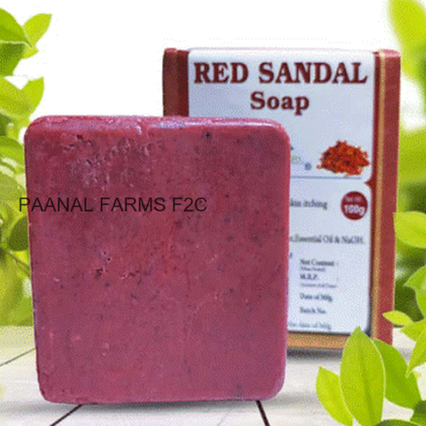 SOAP RED SANDAL