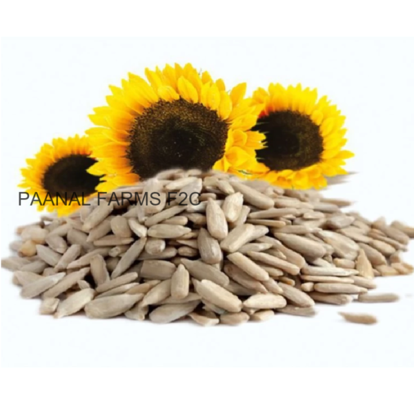 SUN FLOWER SEED 100 GM
