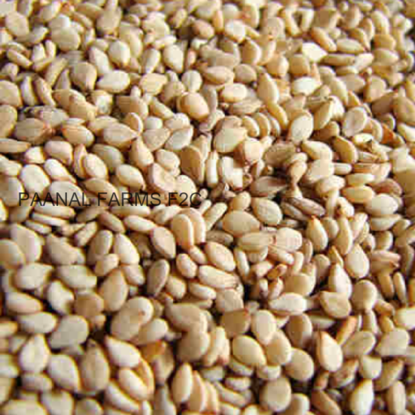 VELLAI ELLU VITHAI 250 GM