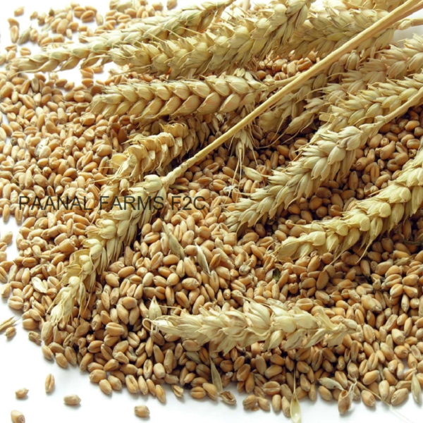 WHEAT 1KG