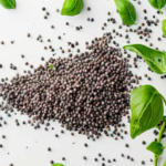 SABJA SEED