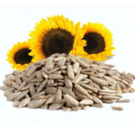 SUN FLOWER SEED