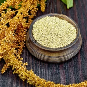 Edible Seeds