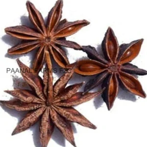 Anachi Poo (Star Anise) 10 GM