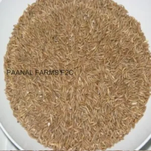 Bamboo Rice 250 GM (OGP)