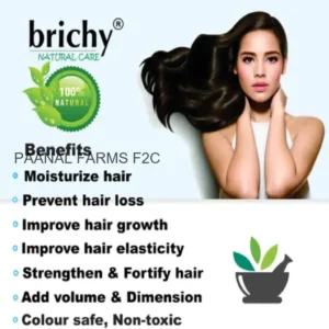Brichy Herbal Shampoo Apple Cider Vineger 200 ML