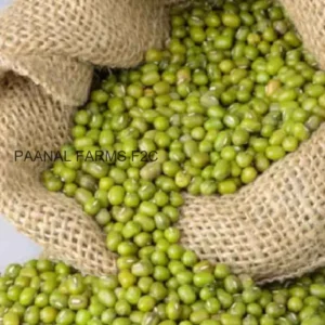 Dal Green Gram Whole 250 GM (Pachai Payiru)