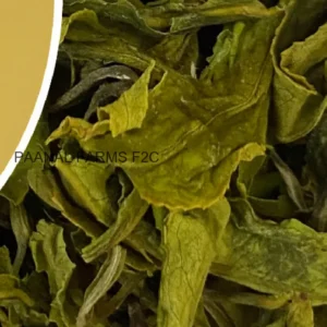 Green Tea Niligiri 25 Gms