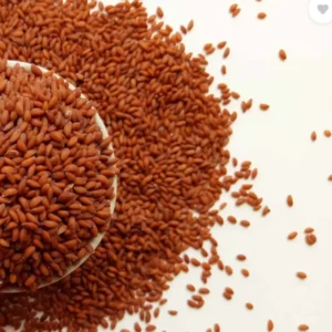 Haleem Seed 100 GM