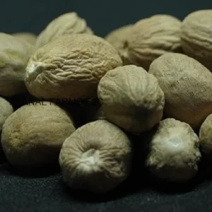 Jathikai 10G