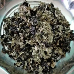 Kalpasi 10 GM
