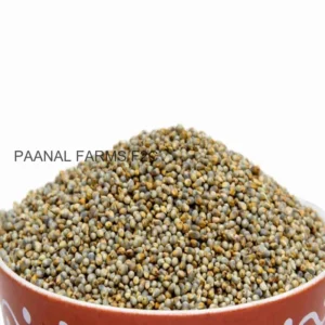 Native Kambu ( Pearl Millet ) – 250 GM