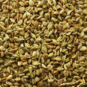 Omam (Ajwain) 25G