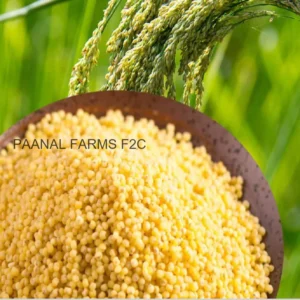 Samai ( Little Millet ) – 250 GM