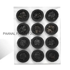 SAMBRABI CUP – 12 PCS
