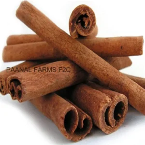 Surul Pattai 10 GM