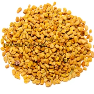 Venthayam 100G
