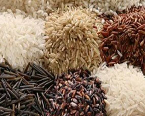 Traditional Rice